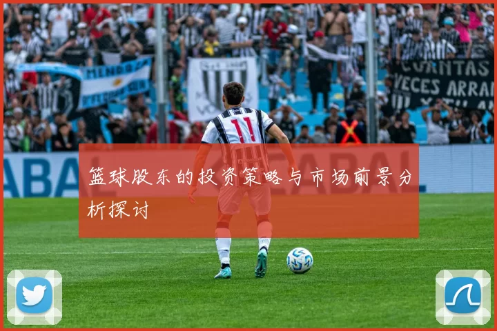 篮球股东的投资策略与市场前景分析探讨