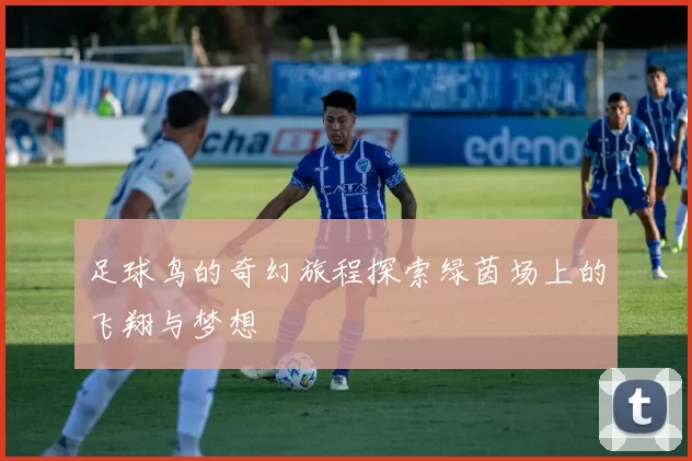 足球鸟的奇幻旅程探索绿茵场上的飞翔与梦想